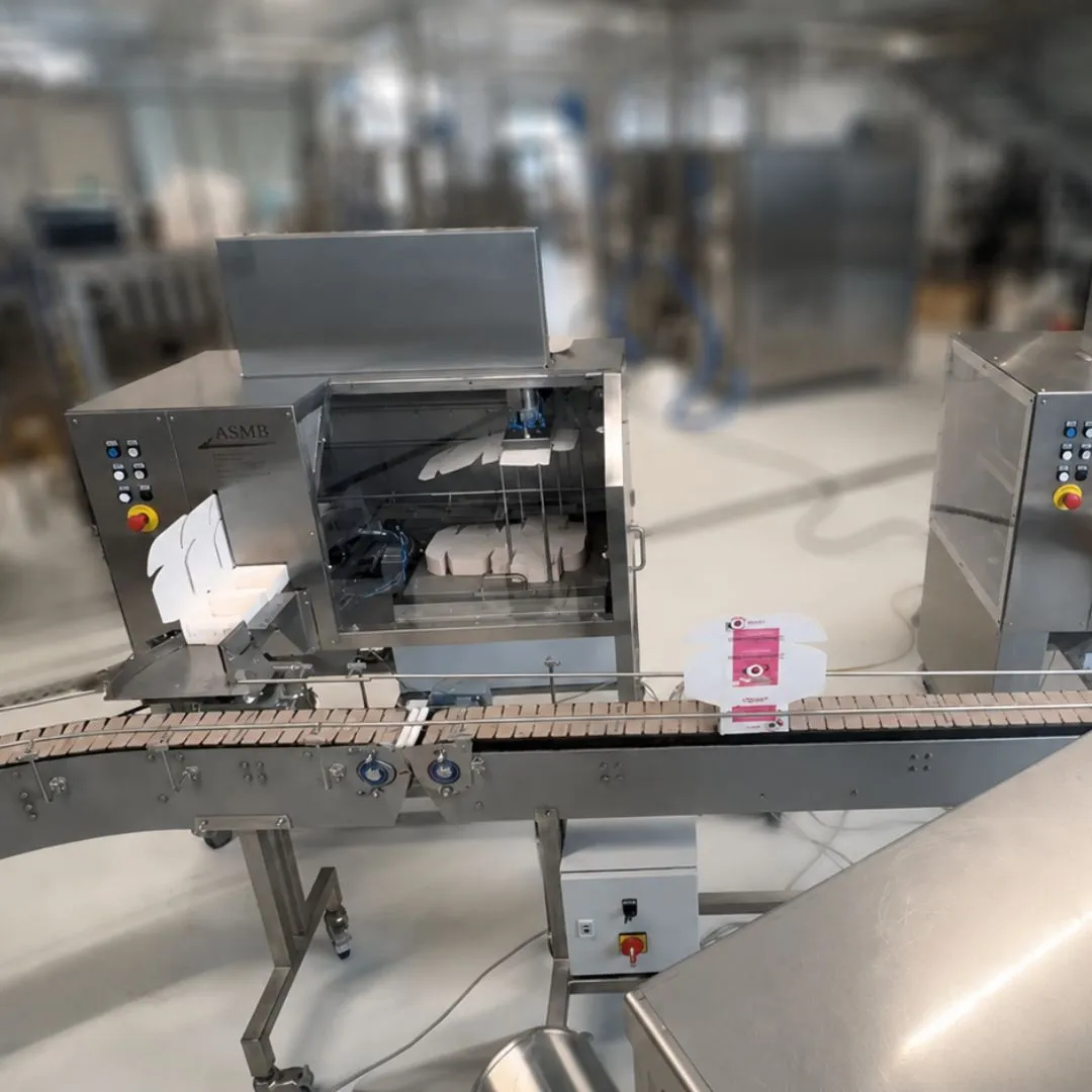 Maschine an einer Förderlinie in einer Produktionshalle